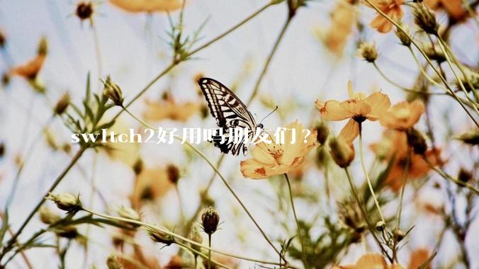 switch2好用吗朋友们?
