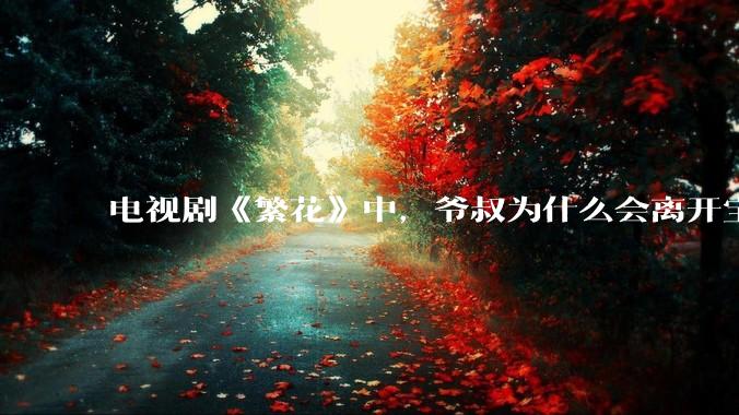 电视剧《繁花》中，爷叔为什么会离开宝总？