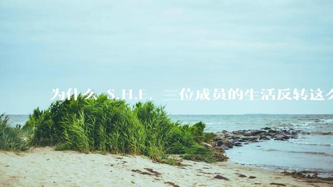 为什么 S.H.E. 三位成员的生活反转这么大？